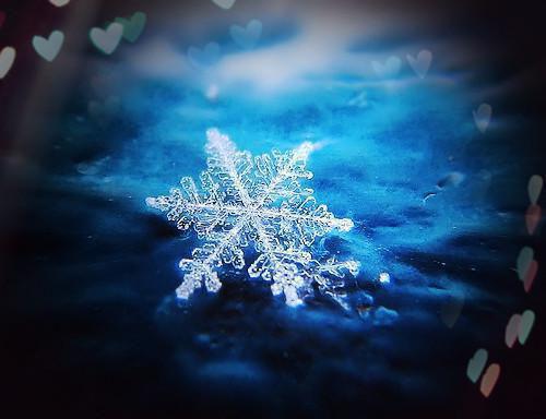 问君何时归雅淑魏凌寒未删节小说全集阅读