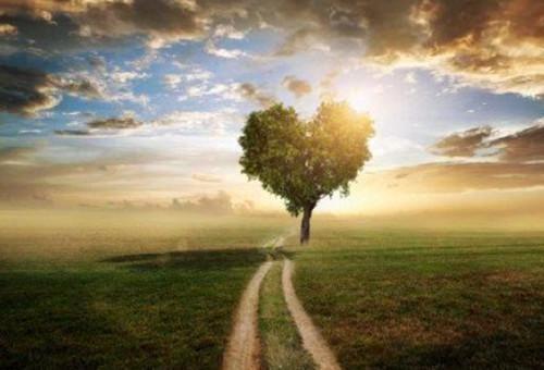 俞风磊江江的小说 俞风磊江江全文免费阅读