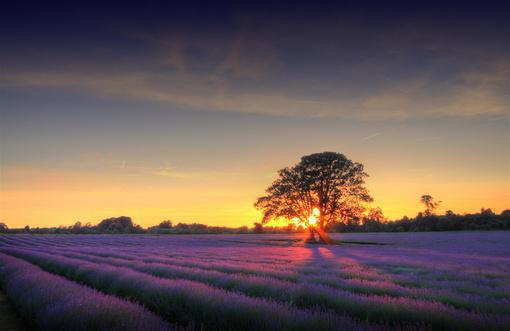 齐云沈灵宋天成最新篇章 坠案迷情全本免费阅读