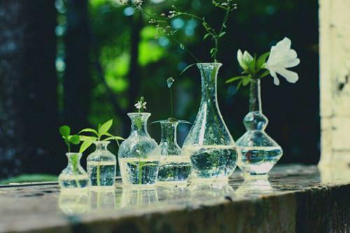 安娜陈雅张成免费全文 安娜陈雅张成小说在线阅读