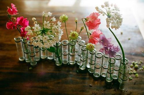 主角名是林清瞳段临辞全文免费阅读正版