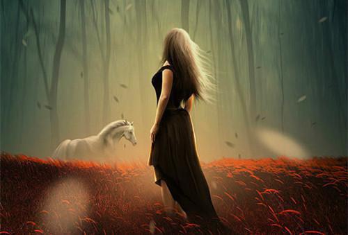 沈洛汐严景修小说全文 沈洛汐严景修小说免费阅读大结局