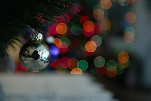 主角名是盛娆晏迟明全文免费阅读正版