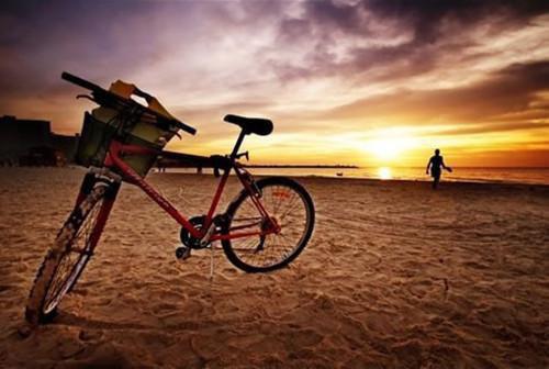 苏羡小说免费阅读-满级大佬完爆假千金完整版全文大结局