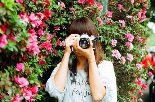 顾璟顾时白什么小说 顾璟顾时白全文免费阅读