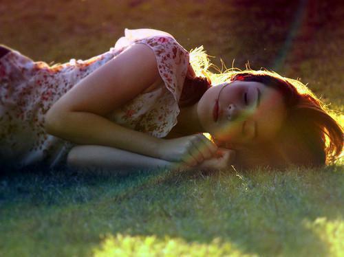 岚岚陆恒张文军是什么小说的主人公 岚岚陆恒张文军免费阅读