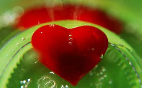 男神父母给我一百万让我掰直他们儿子，小意思赵琳琳周柏彦小说最新章节(在线阅读)