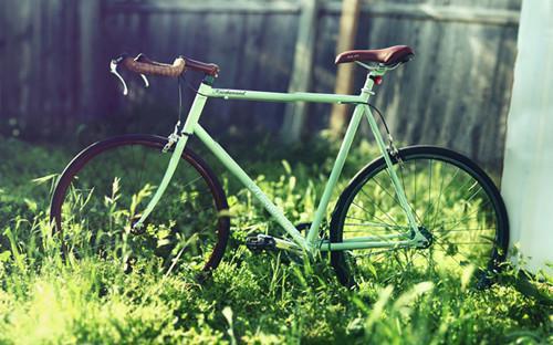 孙依依林奕川沈南洲免费阅读目录 孙依依林奕川沈南洲小说全文