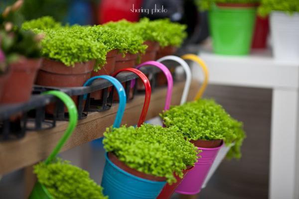 林简之顾墨全文免费_林简之顾墨在线阅读