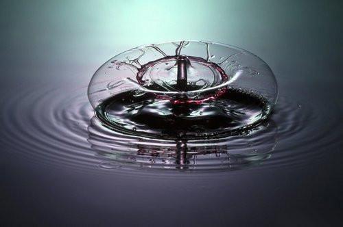 张菲菲完整版 张菲菲小说全文在线阅读