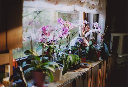 范息徐澄宁免费阅读 范息徐澄宁最新章节目录