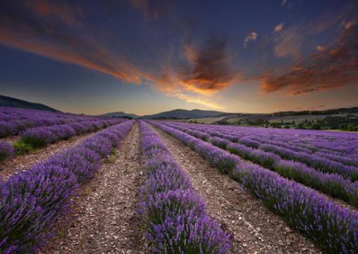 赵玖熙方知寻小说章节免费阅读 赵玖熙方知寻无弹窗