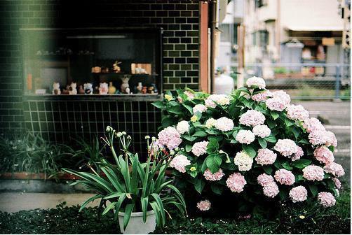 医者自渡李卓群简盈无弹窗全文资源阅读