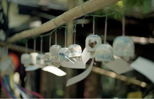 骆清涵顾霆舟（骆清涵顾霆舟）无弹窗小说免费阅读_骆清涵顾霆舟最新章节免费阅读