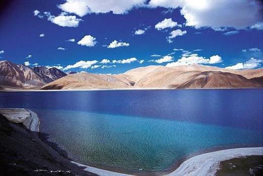 清北开学前一天我被逼成精神病免费阅读第3章 主角周致沈悠悠