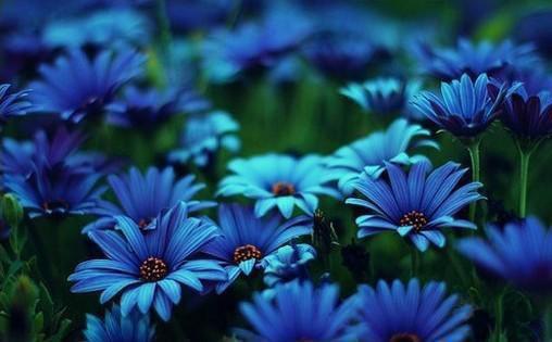 主角叫林羽声卫妙卫铭的小说 我被雪崩掩埋时，他在和妹妹双人滑雪在线免费阅读