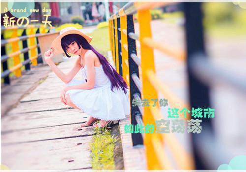 向阳花木易为春全集免费阅读 向阳花木易为春未删节小说