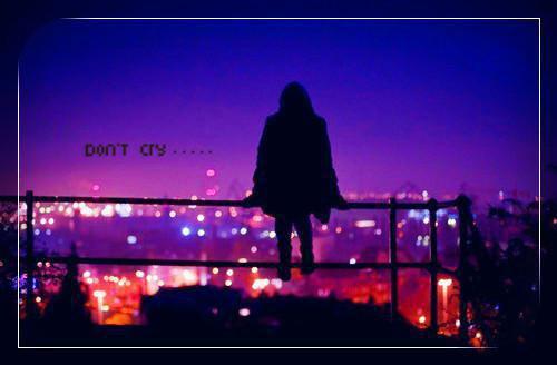 沈琦沈蕴小说 沈琦沈蕴免费章节阅读