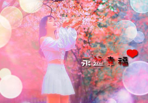 孟沅应忱小说全文免费阅读 孟沅应忱最新章节