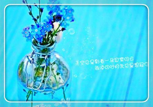 终极守护（张灵）全文小说在线阅读-终极守护全章节最新阅读