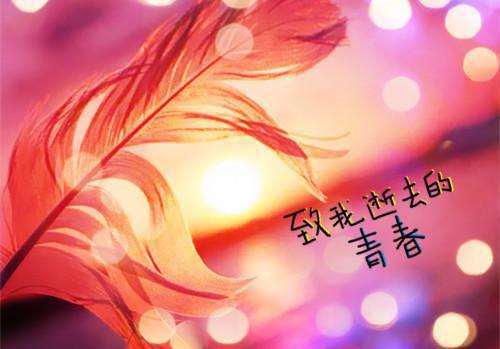 重回七零，靠空间搬空仇敌物资洛静妍薛彦辰小说在线全文免费阅读