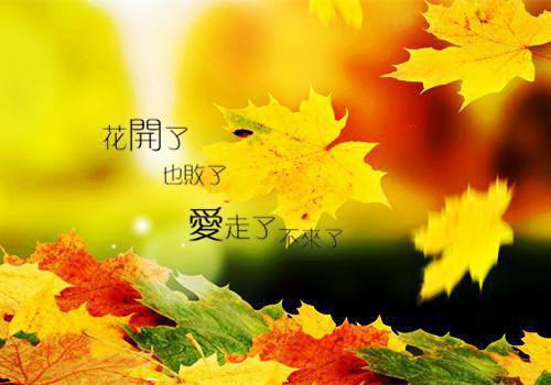 我，被废太子，签到千年终成魔轩辕帝渊荒帝完整版全本免费阅读