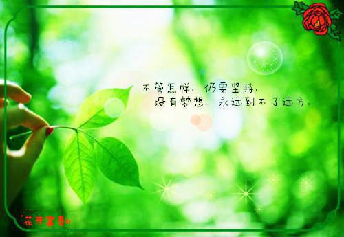 恋爱系统小说完整版 江燃时念在线阅读
