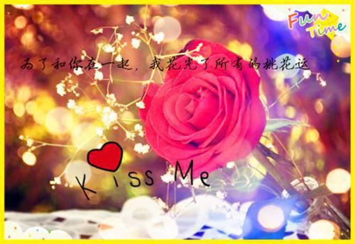 宋晚宁裴叙白小说免费 宋晚宁裴叙白第5章在线阅读