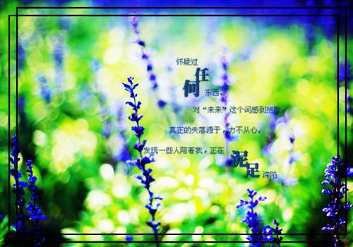 苏培风董娟闫志刚小说 苏培风董娟闫志刚完整版免费阅读