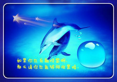 林清宇池早早林子沐小说章节免费阅读 林清宇池早早林子沐无弹窗