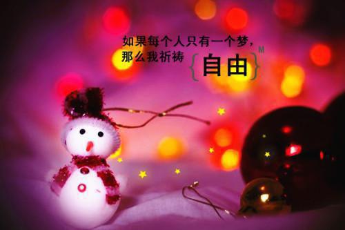 顾川晚晚免费阅读小说 顾川晚晚