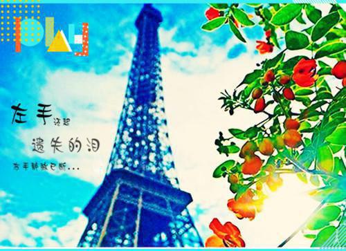 夏知入笼沈怀夕裴宸宸沈仲博第17章 免费阅读