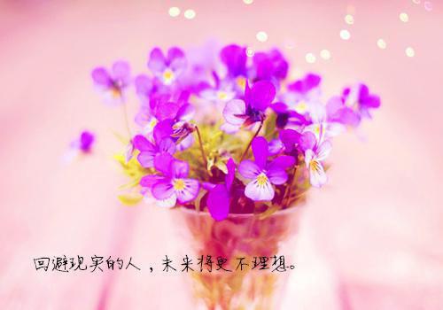 胡闹拳头谢崇陆斯昭完整版小说全本阅读