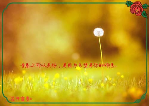 主角名是淑贵妃凌云川全文免费阅读正版