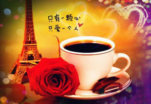 宋颜贺远谢寻结局是什么 宋颜贺远谢寻免费阅读全文