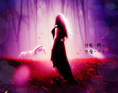 沈岁禾江闻野小说叫什么 沈岁禾江闻野小说全文免费阅读