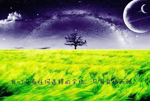 林荨樱赫连轩小说免费阅读最新 花落相思尽完整版