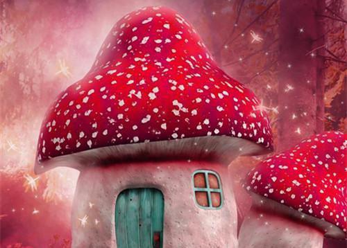 (抖音小说)沈忆安裴寒绎免费阅读第二章