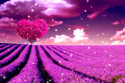 把管家权让给女夫子后,首富父子破产了裴生沈良玉裴子明小说免费试读