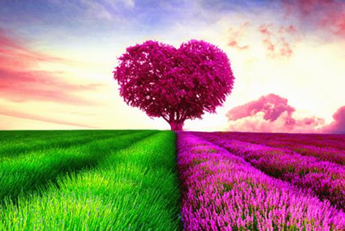 祝时宜蒋逾白大结局免费阅读 祝时宜蒋逾白全文小说