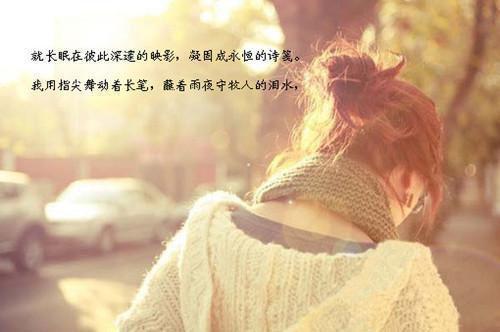 周佑卿谢舒宁全文阅读最新 周佑卿谢舒宁小说目录