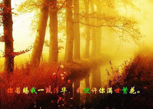 老婆火烧跳蚤却点燃房子秀珠小说在线免费阅读(大结局)