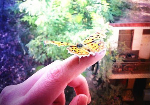 江娥姜离免费完结版 离婚吧，你失去一条真龙！江娥姜离小说阅读