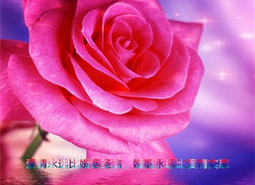 星光闪耀不及你首发小说 冷玥陆淮亦在线阅读