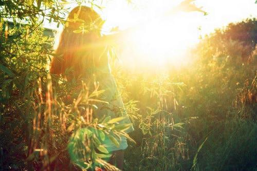 许昭年夏芝芝小说章节目录 许昭年夏芝芝免费阅读第十一章