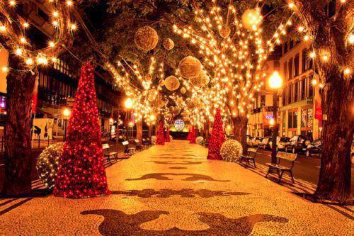 再见阔别多年的白月光(结局) 沈携林涩免费阅读全文