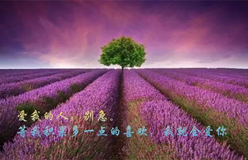 《江书华邱婷小说》无弹窗全文免费阅读