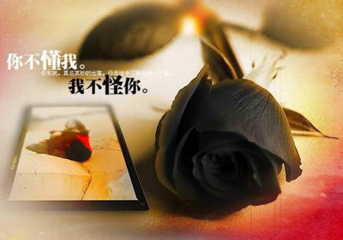 我明明想当昏君，怎么成了千古一帝李天无广告小说免费在线阅读