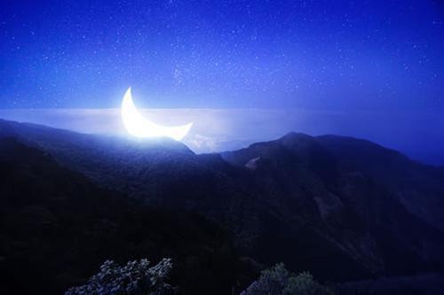 苏月李渊小说 苏月李渊完整版免费阅读