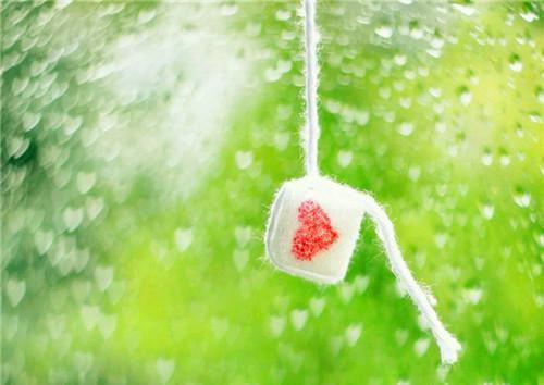 影帝他对我情有独钟最后一章在线阅读 楚江阔毛毛全文小说完整版